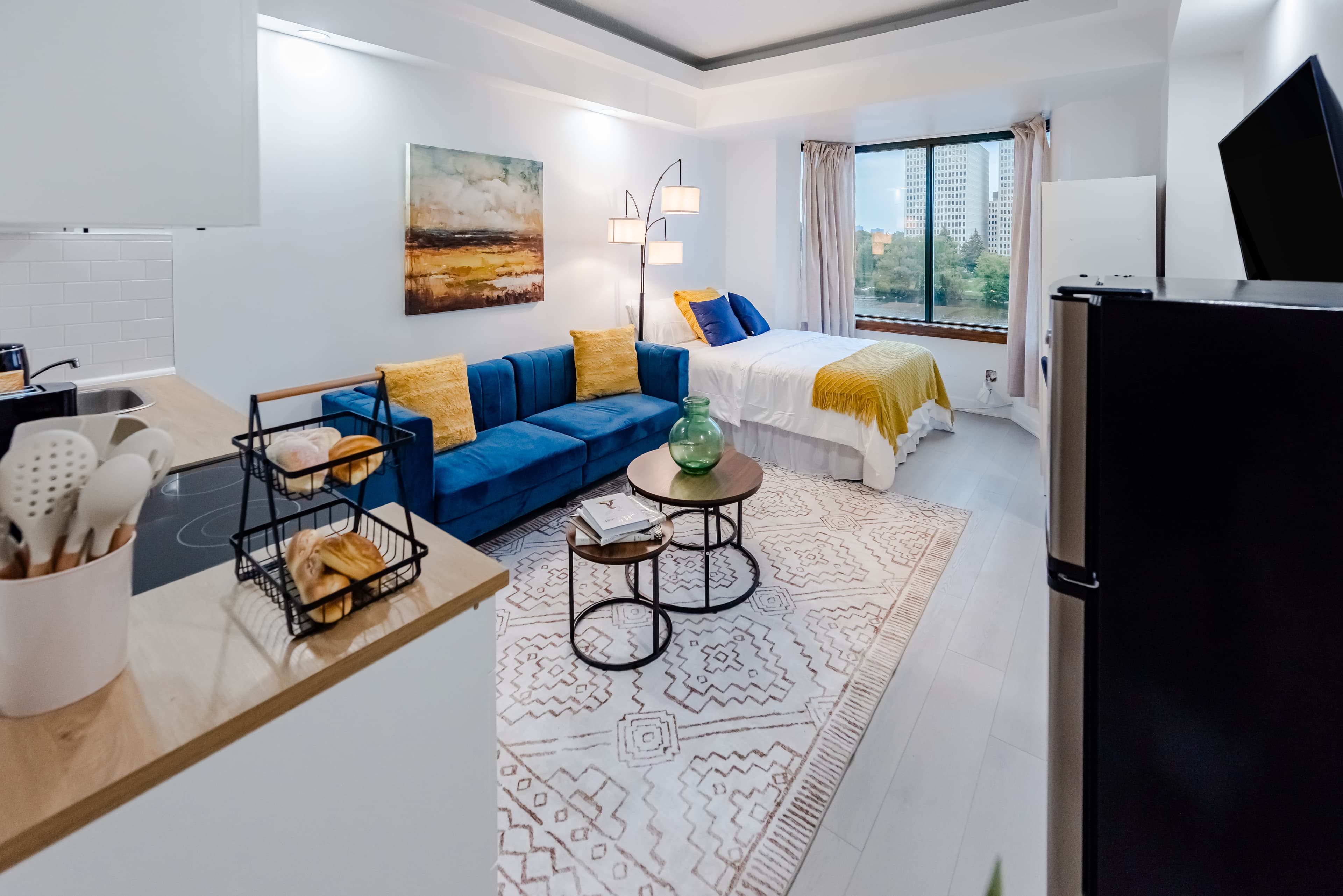 Studio Standard overview